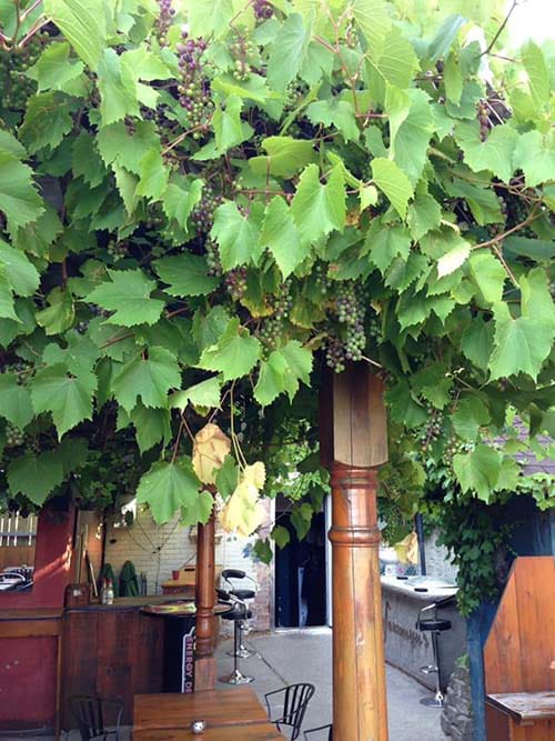 Image of storefront for Jazzmyn's Tapas and Taps Restaurant
