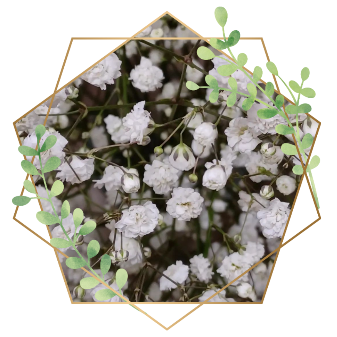Bloemers babies breath